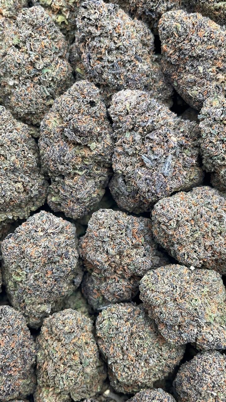 Tropical Runtz - PK608