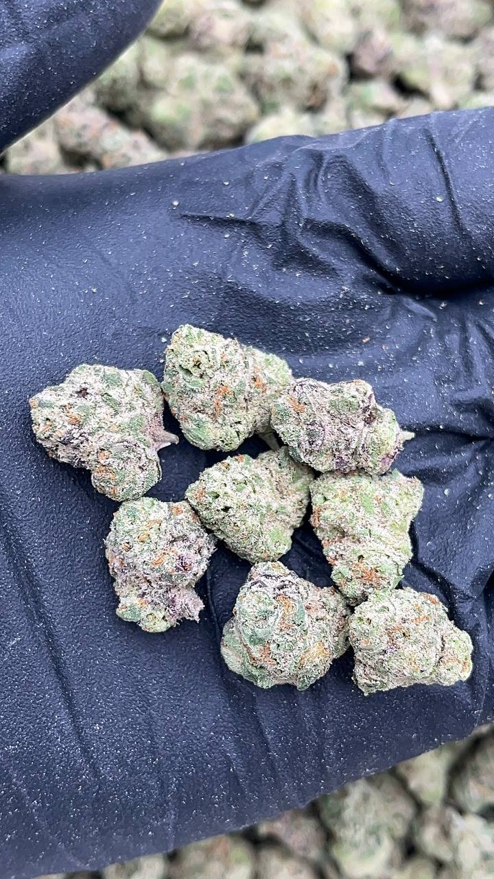 Residual Sugar Smalls - PK607 (Licensed)