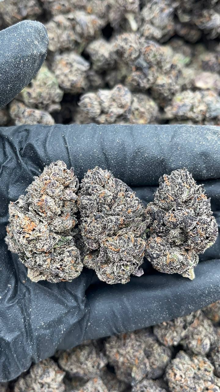 Coochie Runtz - PK605