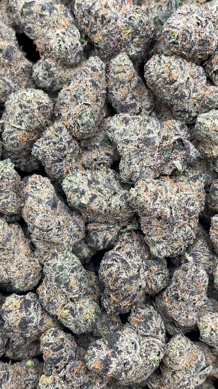 Cali Gas Mediums - PK604