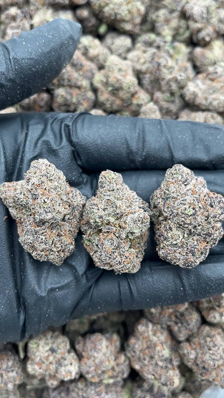 Cotton Candy Runtz - PK604