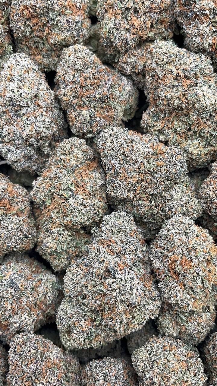 Cherry Gorilla - PK600