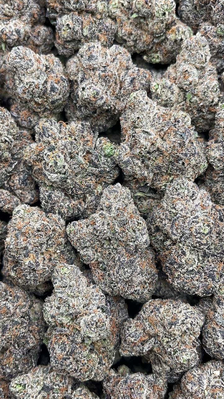 Cotton Candy Runtz - PK598