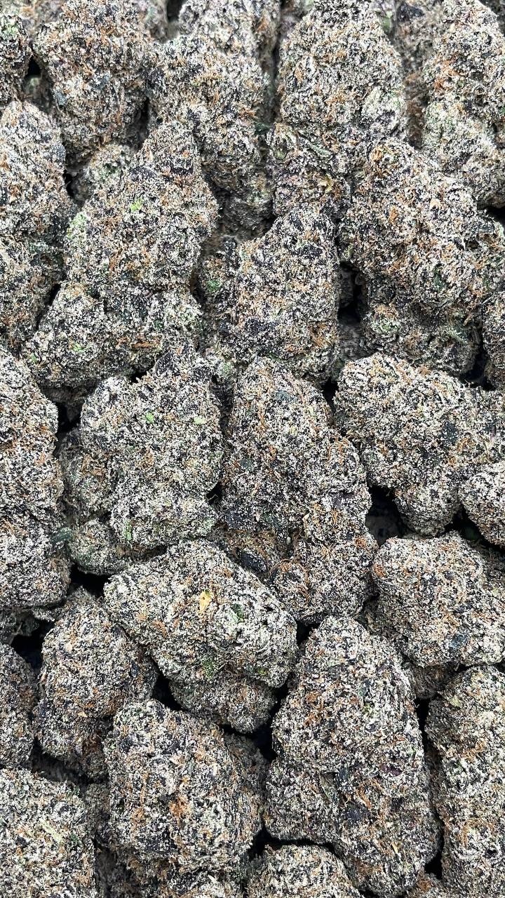 Jet Fuel Gelato - PK597