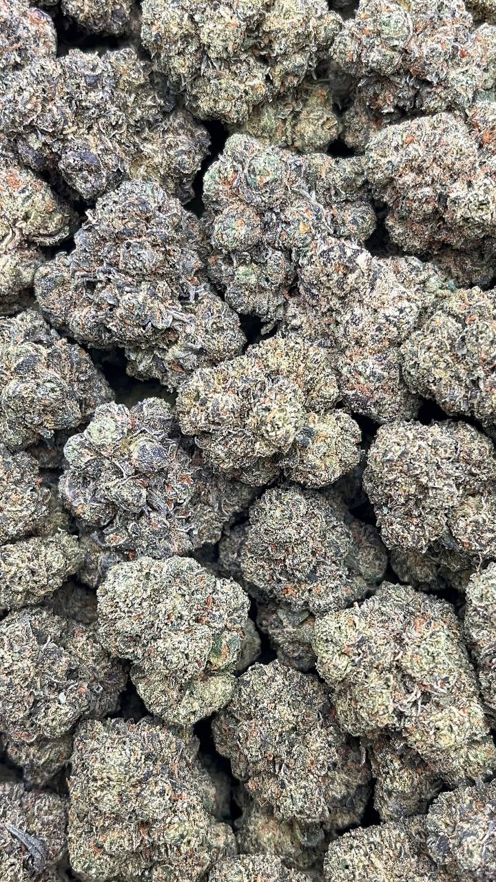 Dawgy Treats - PK596