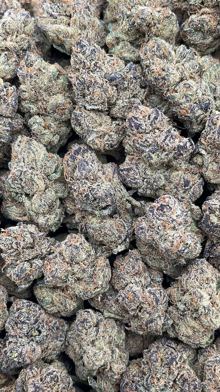 Berry Gelato - PK594