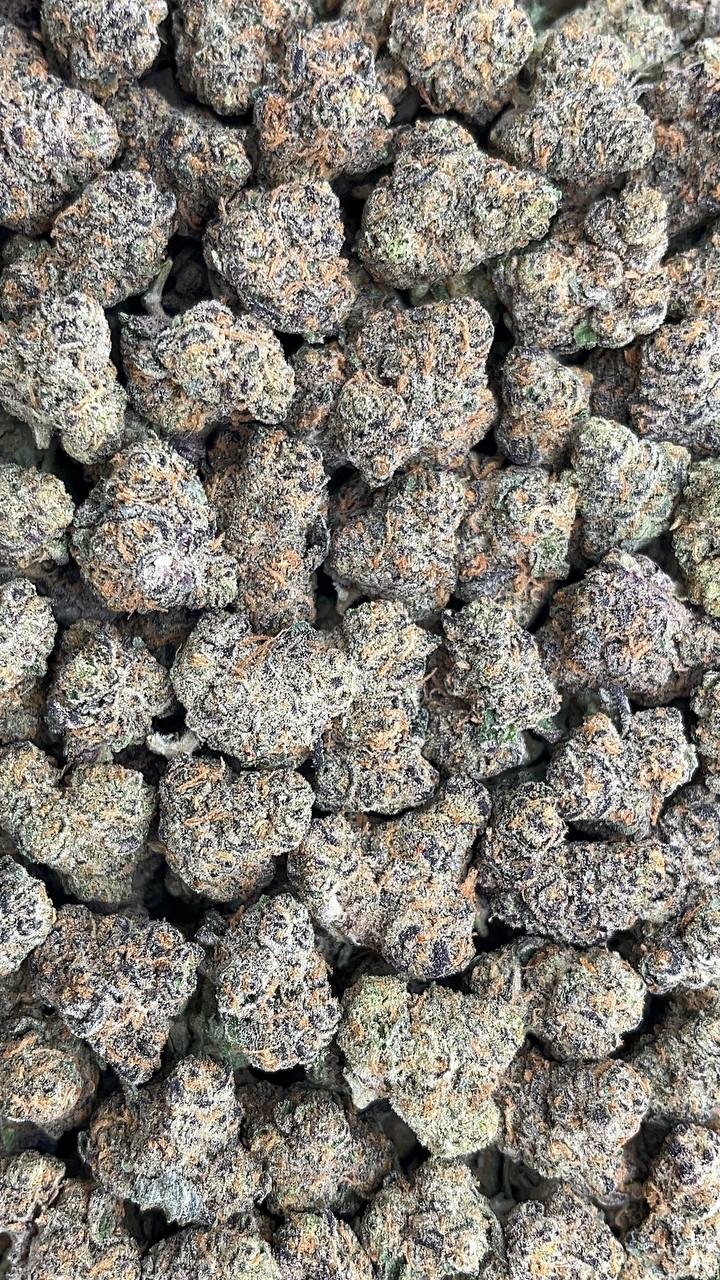 Cheetah Mintz Smalls - PK587