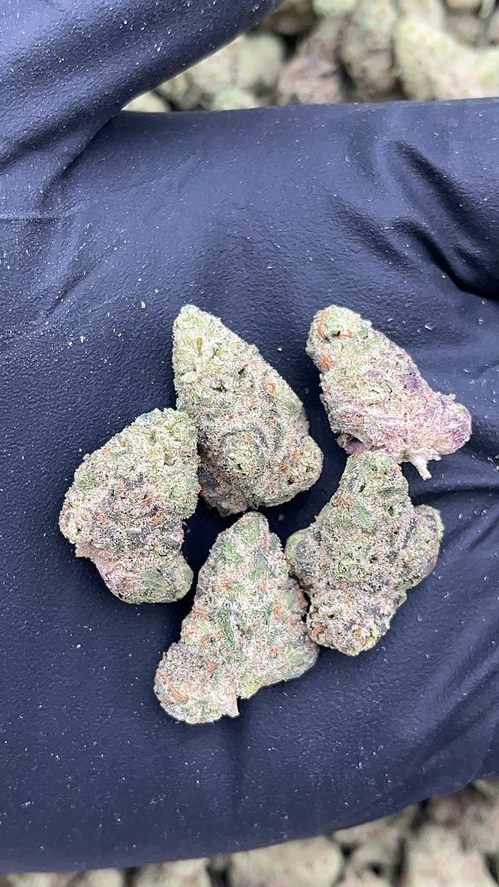 Peanut Butter Shake SM - PK585 (Licensed)