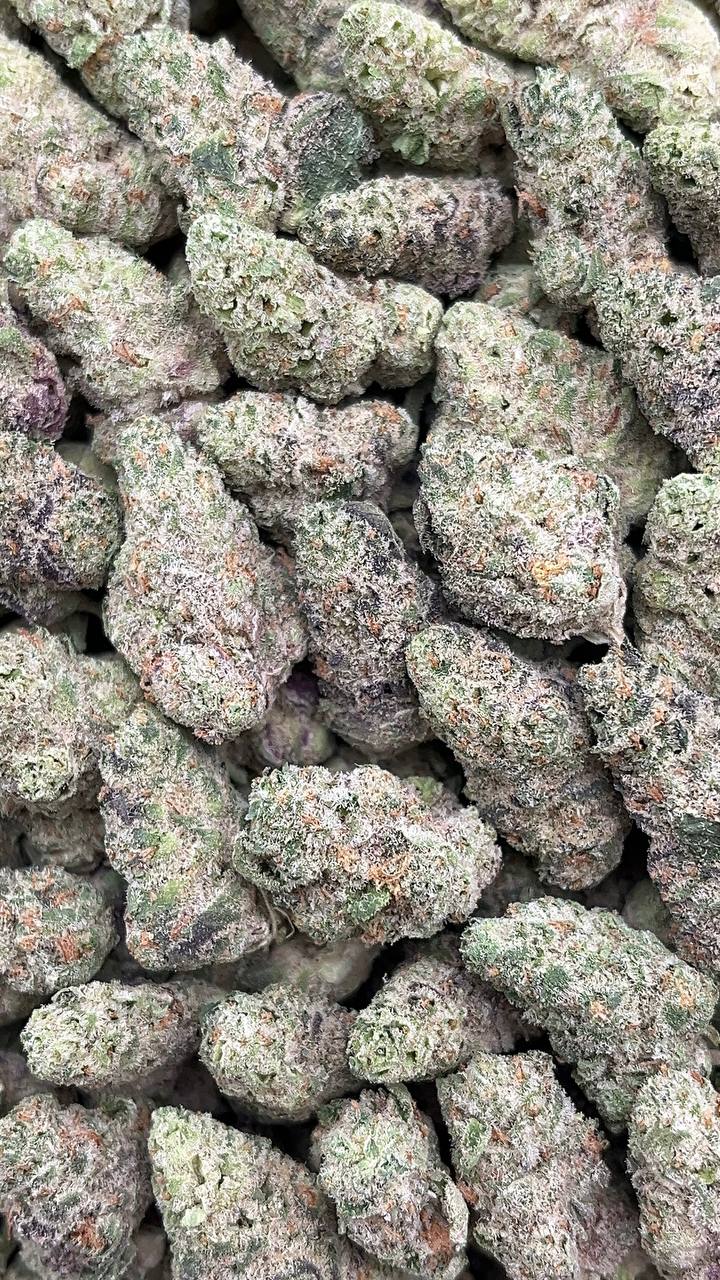 Peanut Butter Shake SM - PK585 (Licensed)