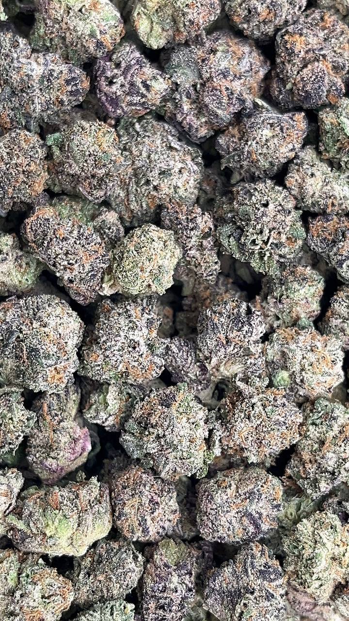 Zushilato Micros - PK580