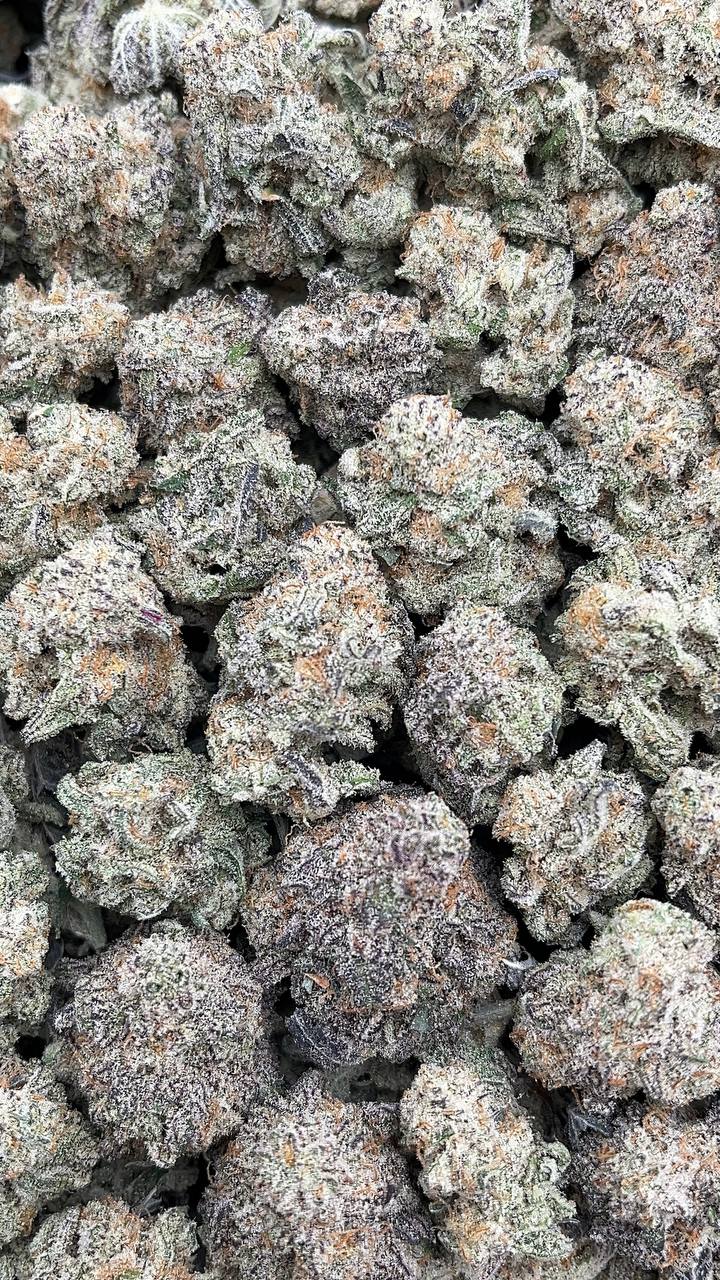 Alien Cookies Smalls - PK579