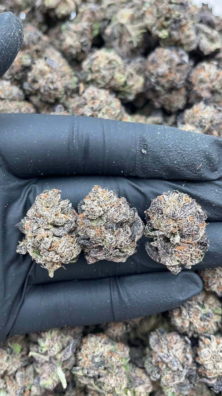 High Noon Irish Cream - PK577 (Organic)