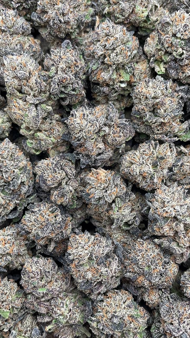 High Noon Irish Cream - PK577 (Organic)