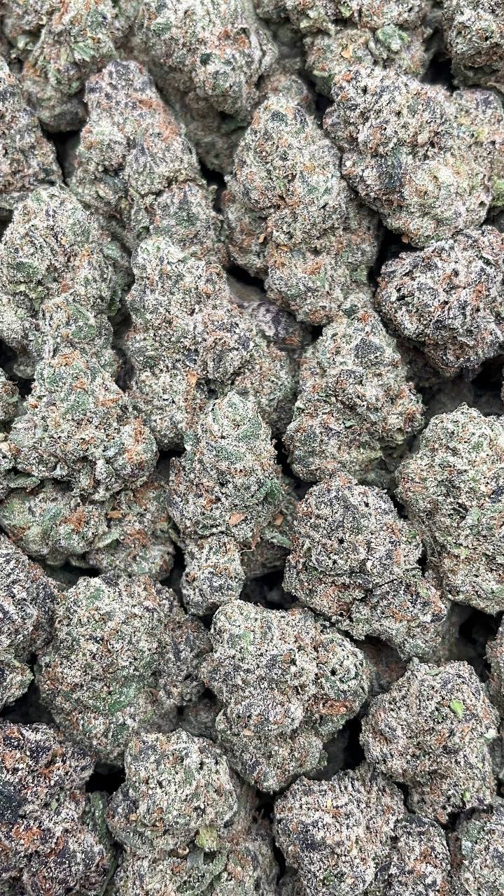 Ace Candy - PK573 (Licensed)