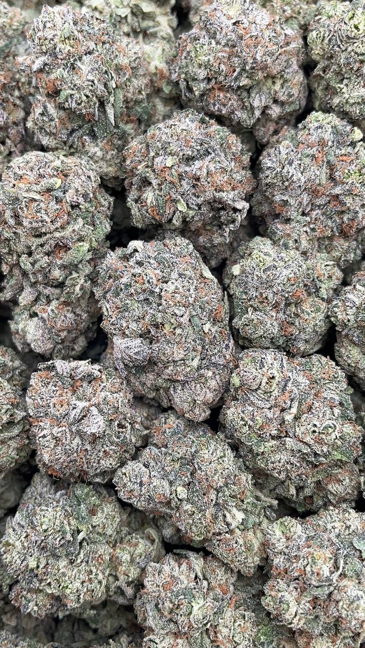 White Strawberry Skunk - PK570