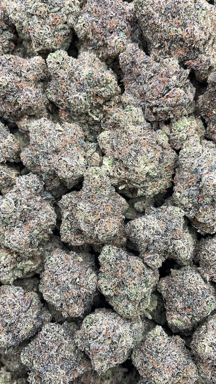 Biskante - PK566 (Licensed)