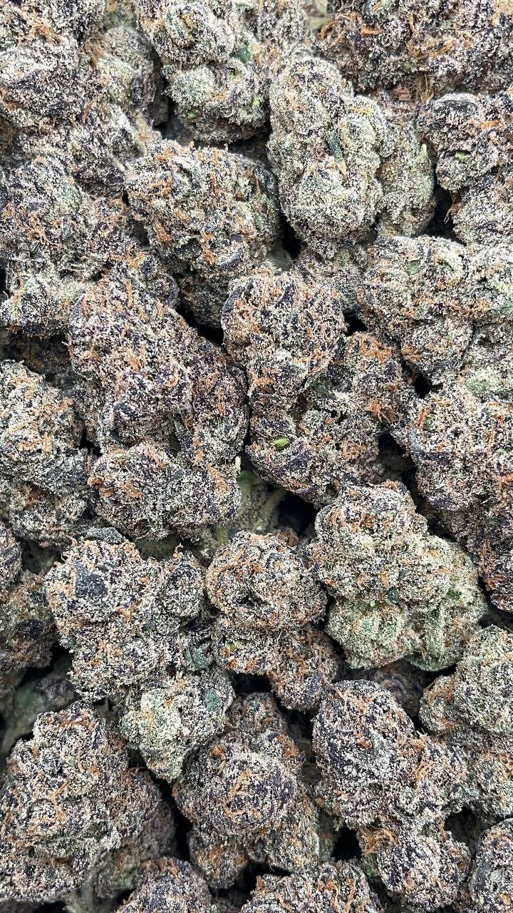 Rainbow Runtz - PK565 (Licensed)