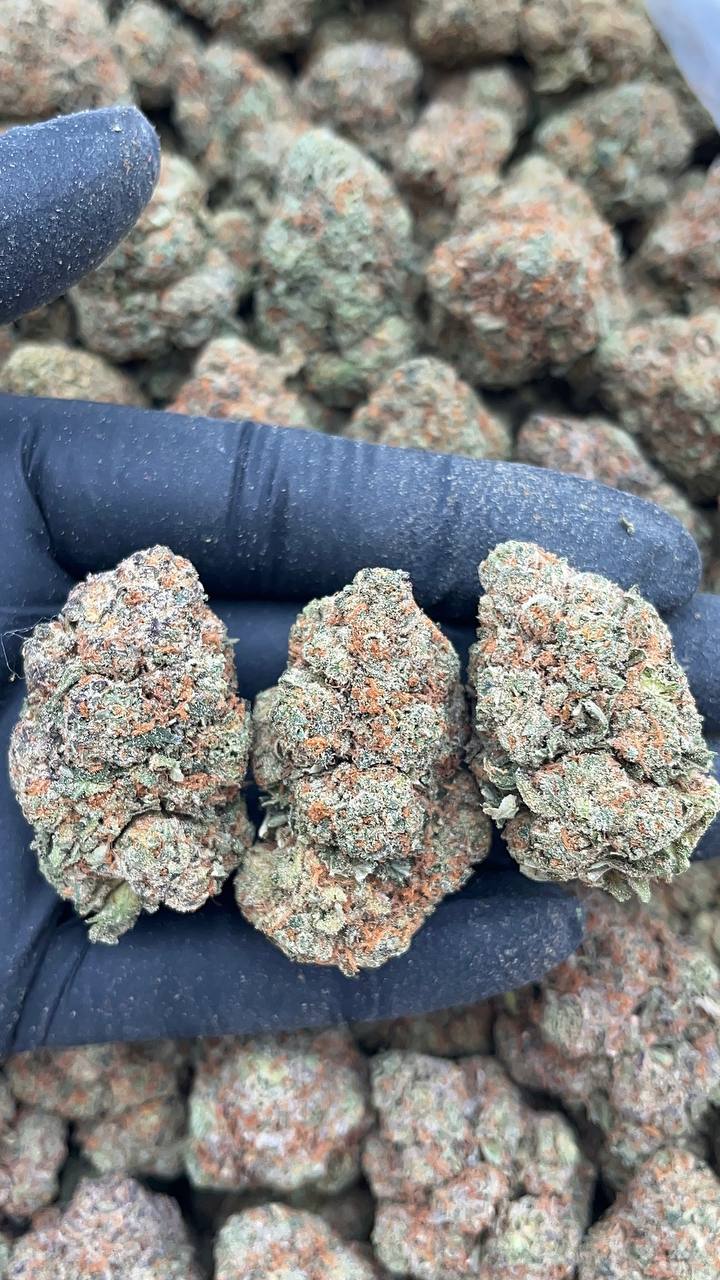 Secret Weapon - PK563