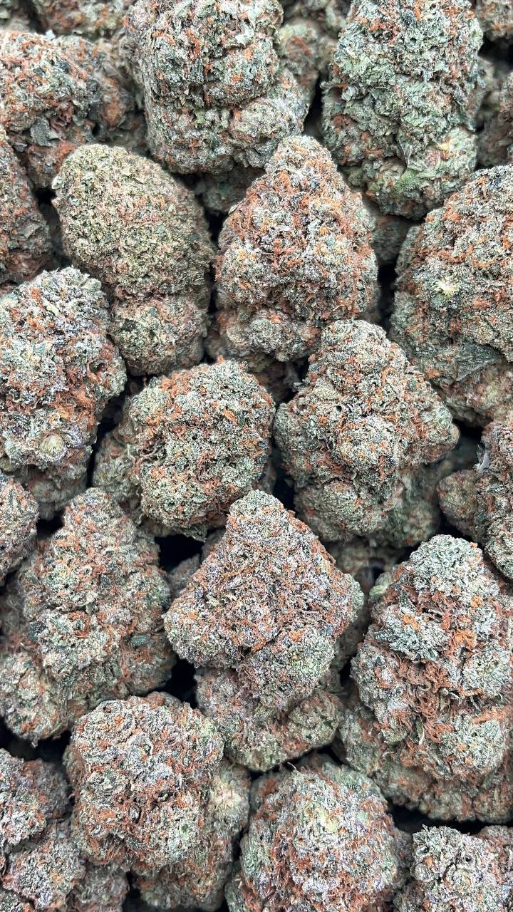 Secret Weapon - PK563