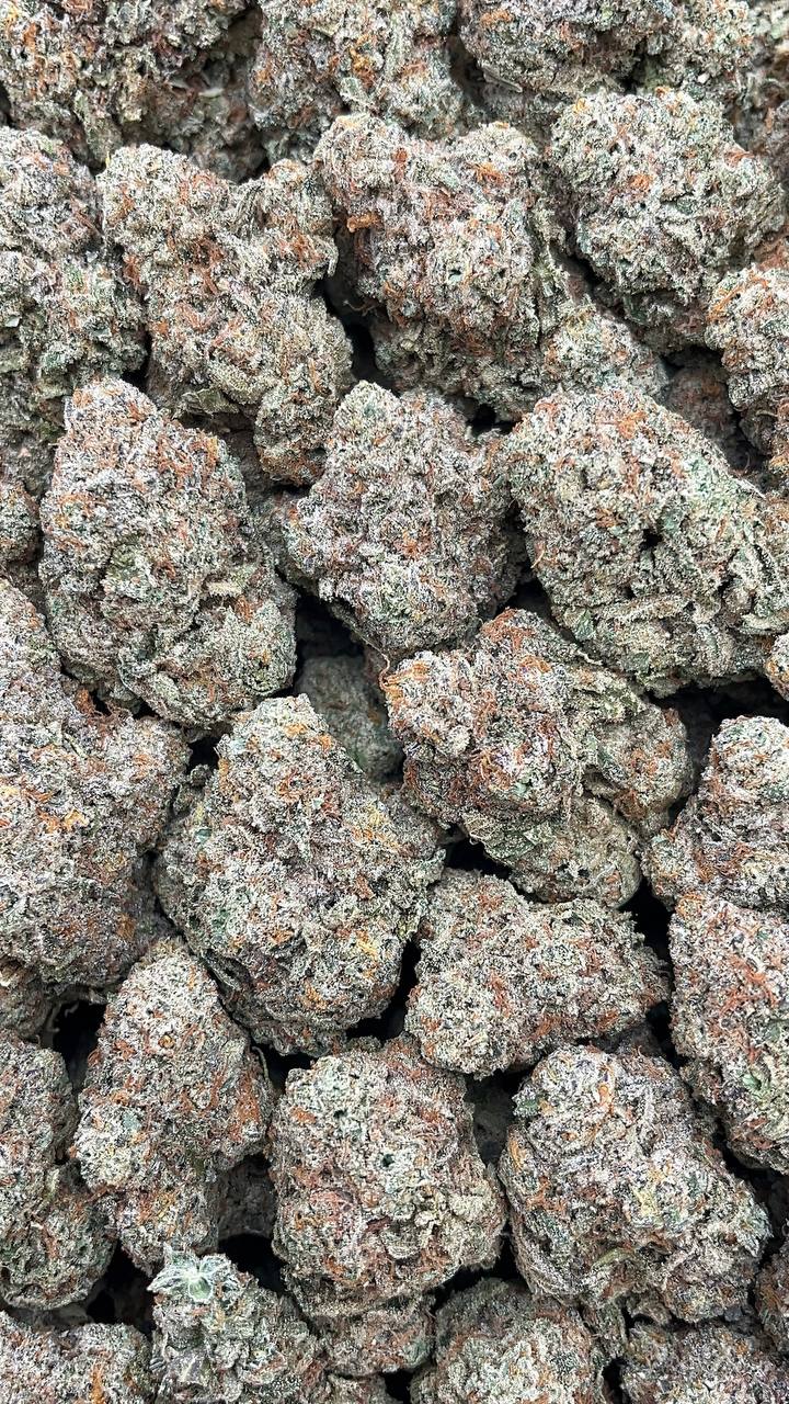 Mochi Gelato - PK560