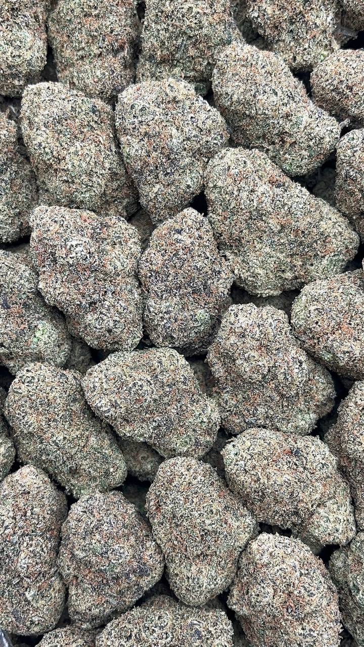 Cinnamon Gelato - PK558