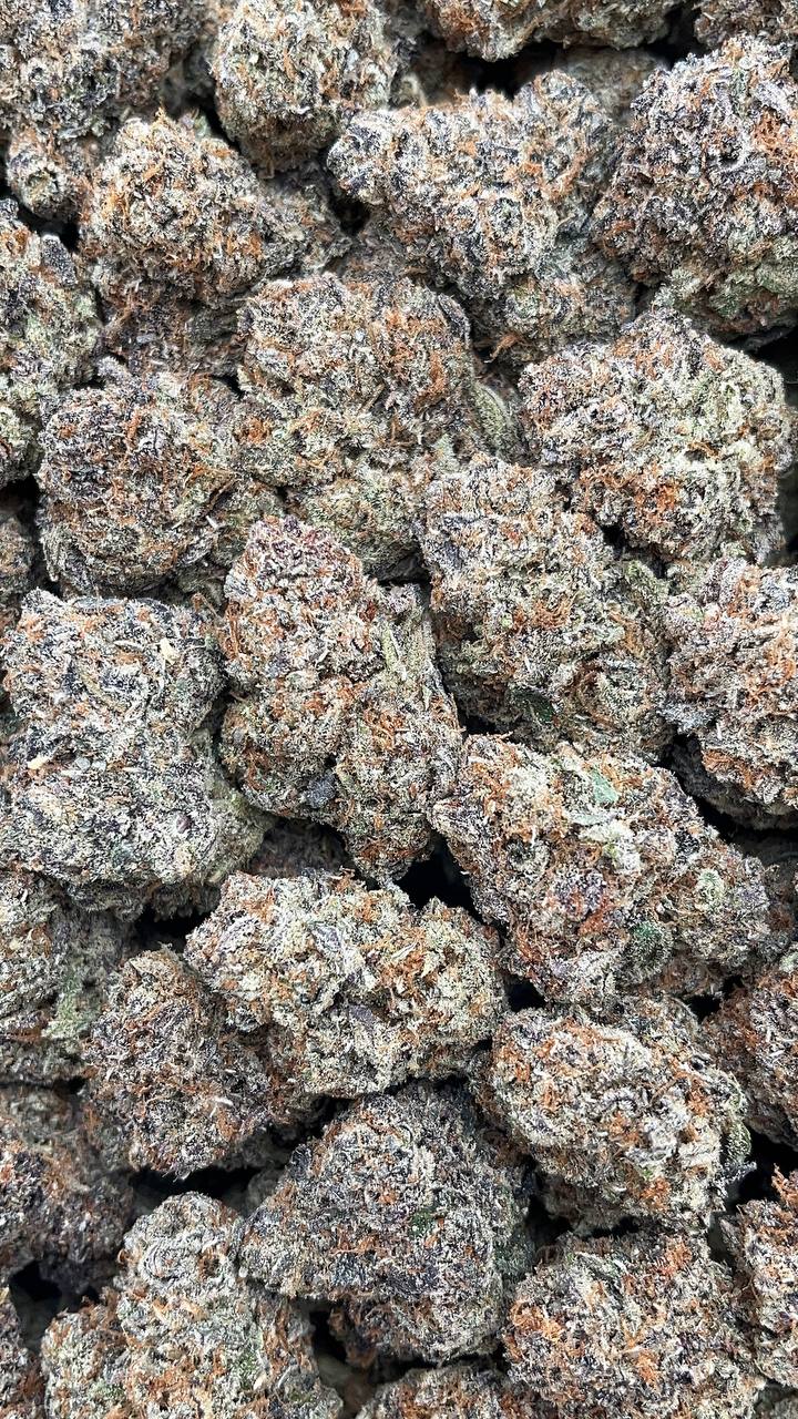 Disco Glitter - PK557