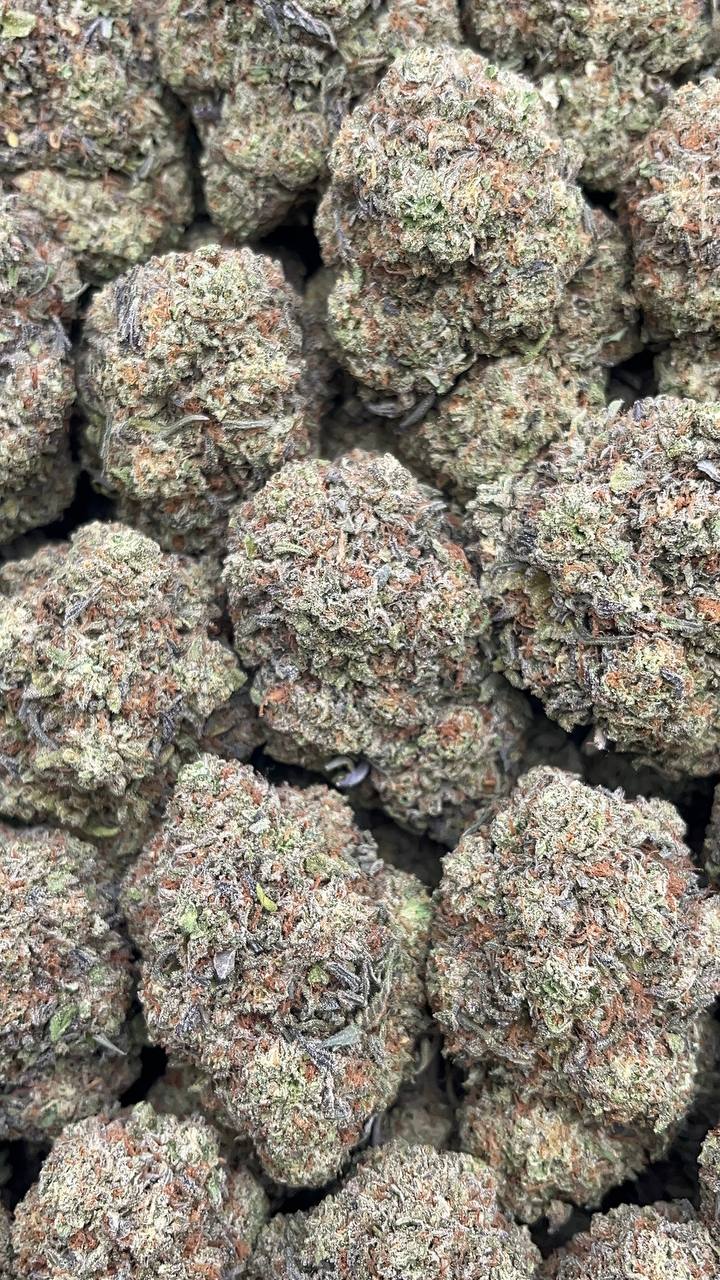 Sunset Black Ice - PK554