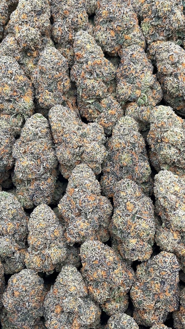 Permanent Marker - PK549