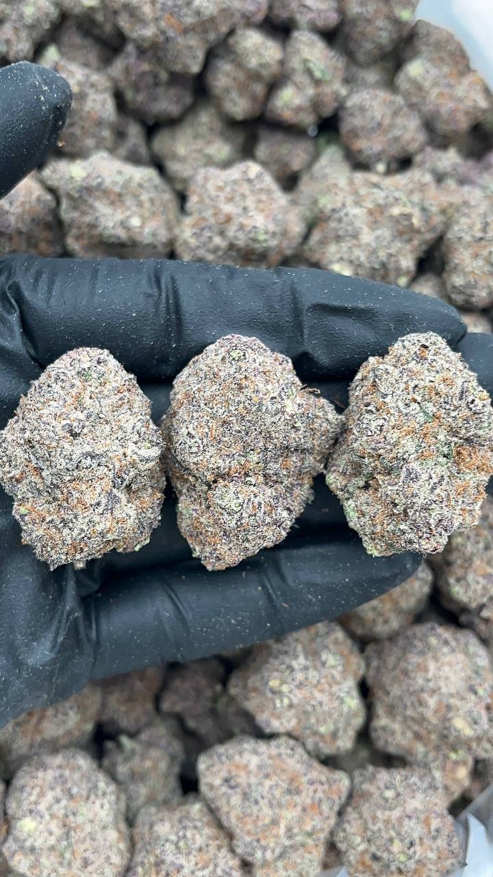 Blueberry Mojito - PK548