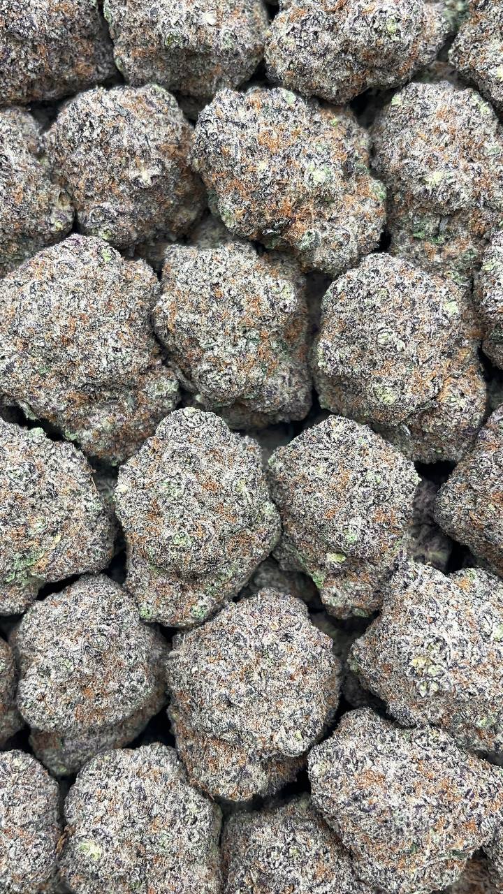 Blueberry Mojito - PK548