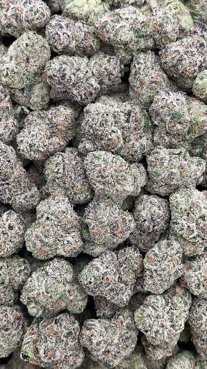 Gelato 33 Mediums - PK547 (Licensed)