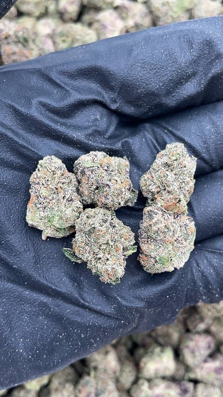 Cherry Zlushie Mediums - PK543 (Licensed)