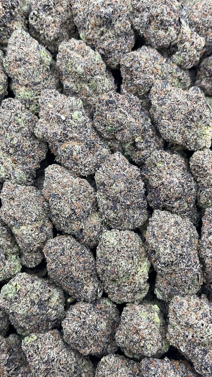 Rainbow Sherbet - PK540