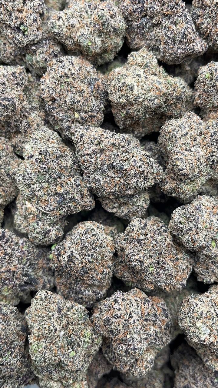 Pink Gum Drop - PK537