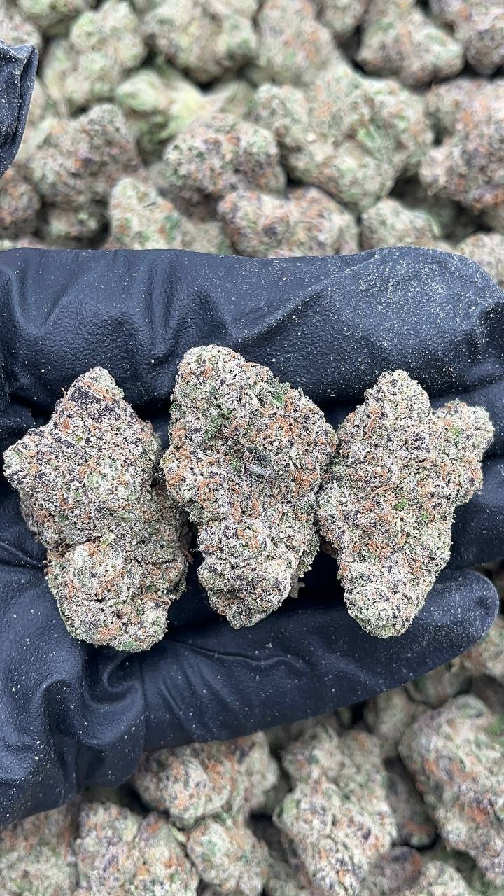 Supreme Runtz - PK535