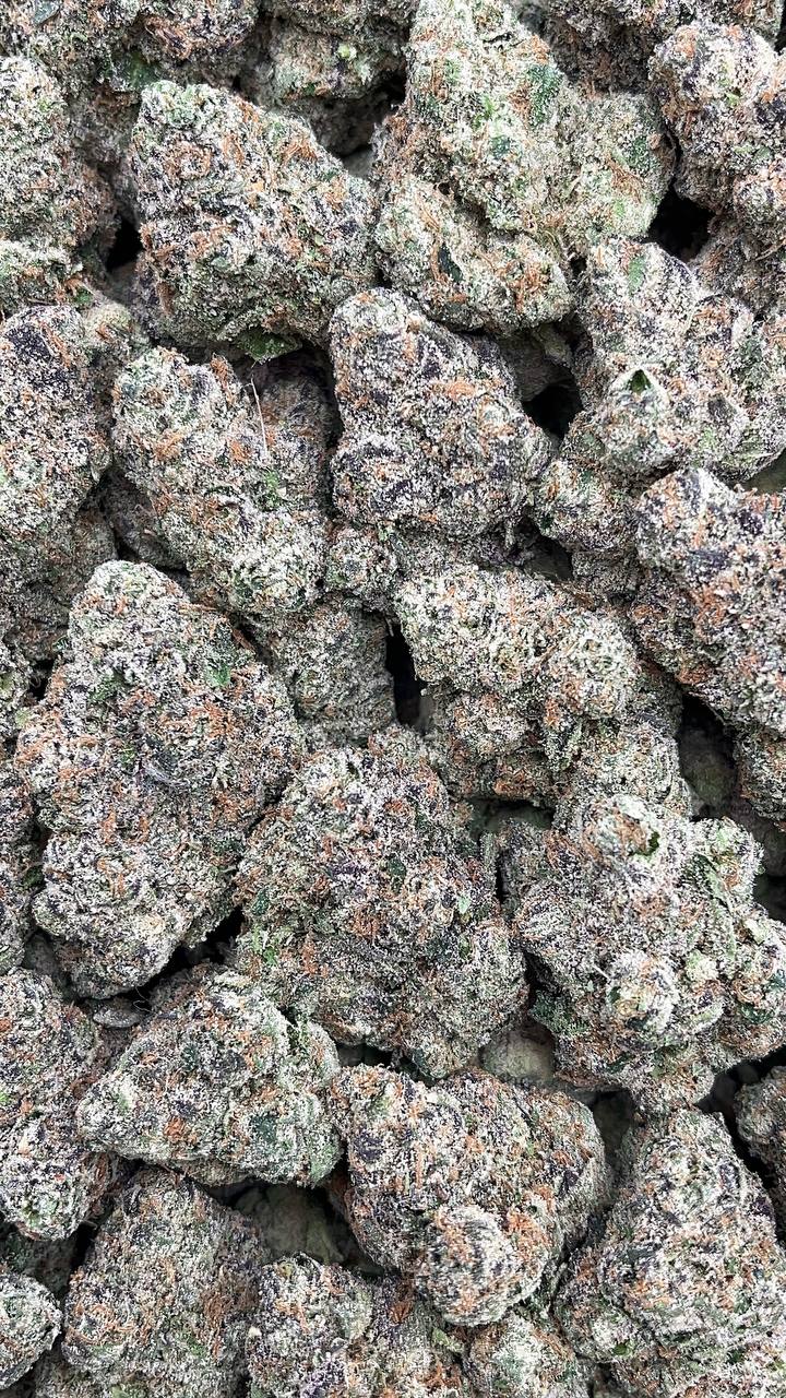 Supreme Runtz - PK535