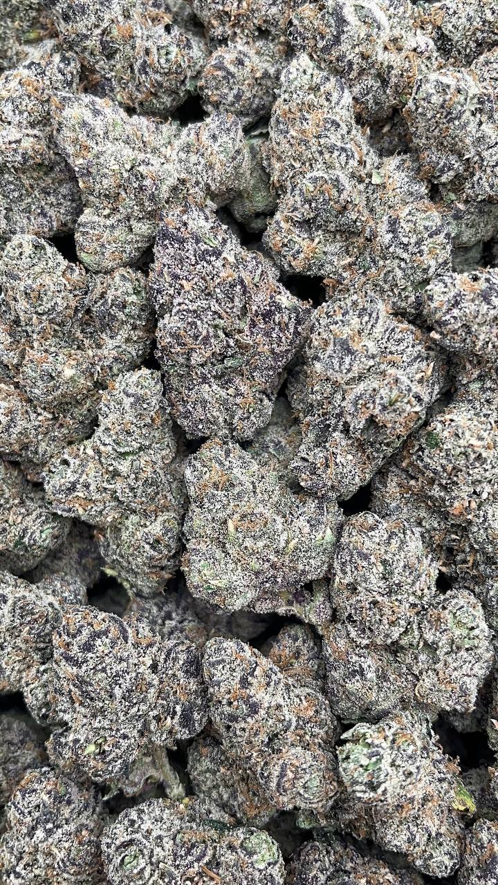 Gumballz - PK534 (Licensed)