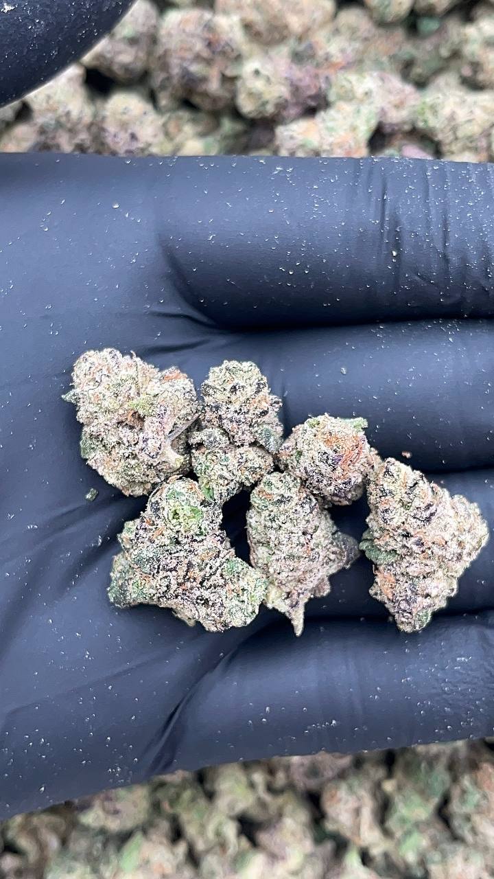 Candy Fuel Smalls - PK530