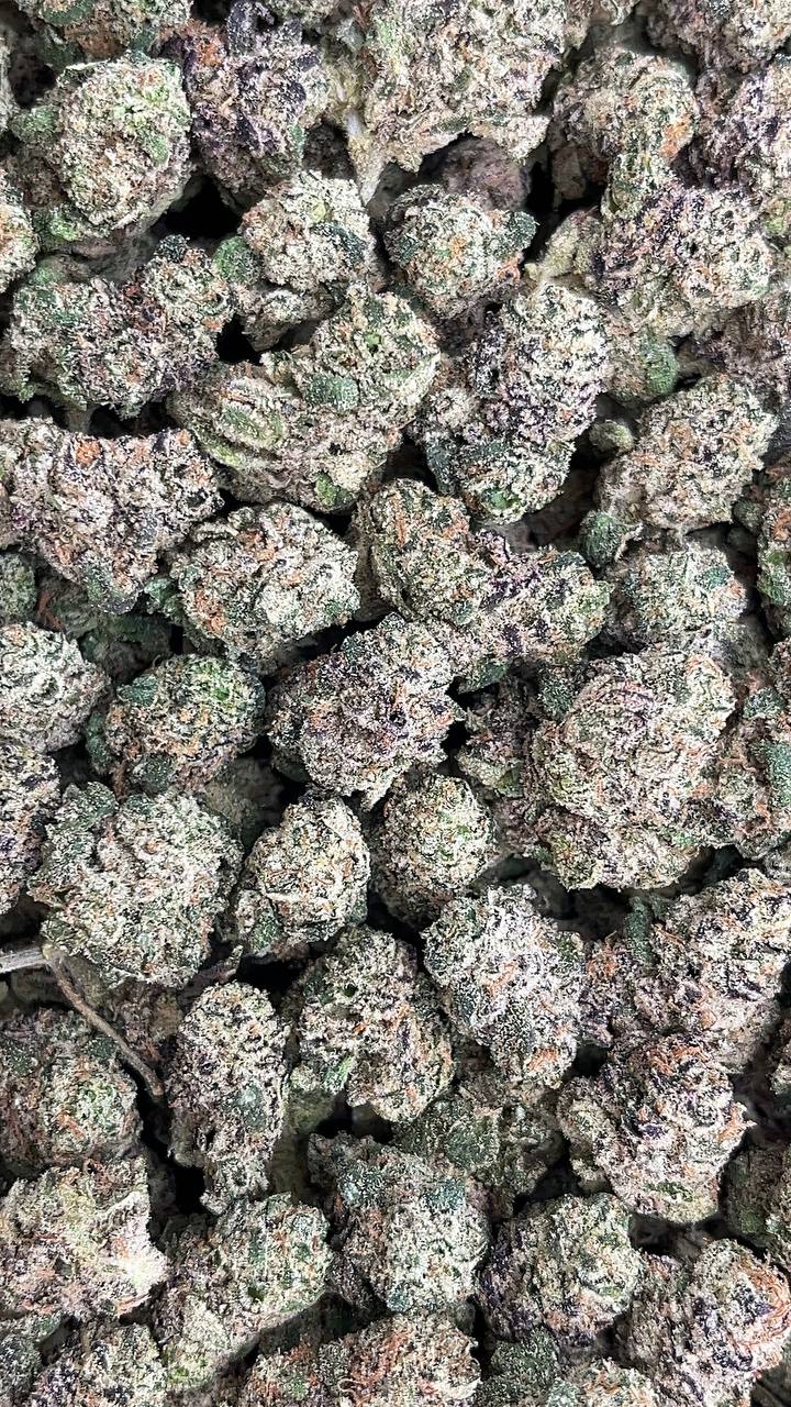 Candy Fuel Smalls - PK530