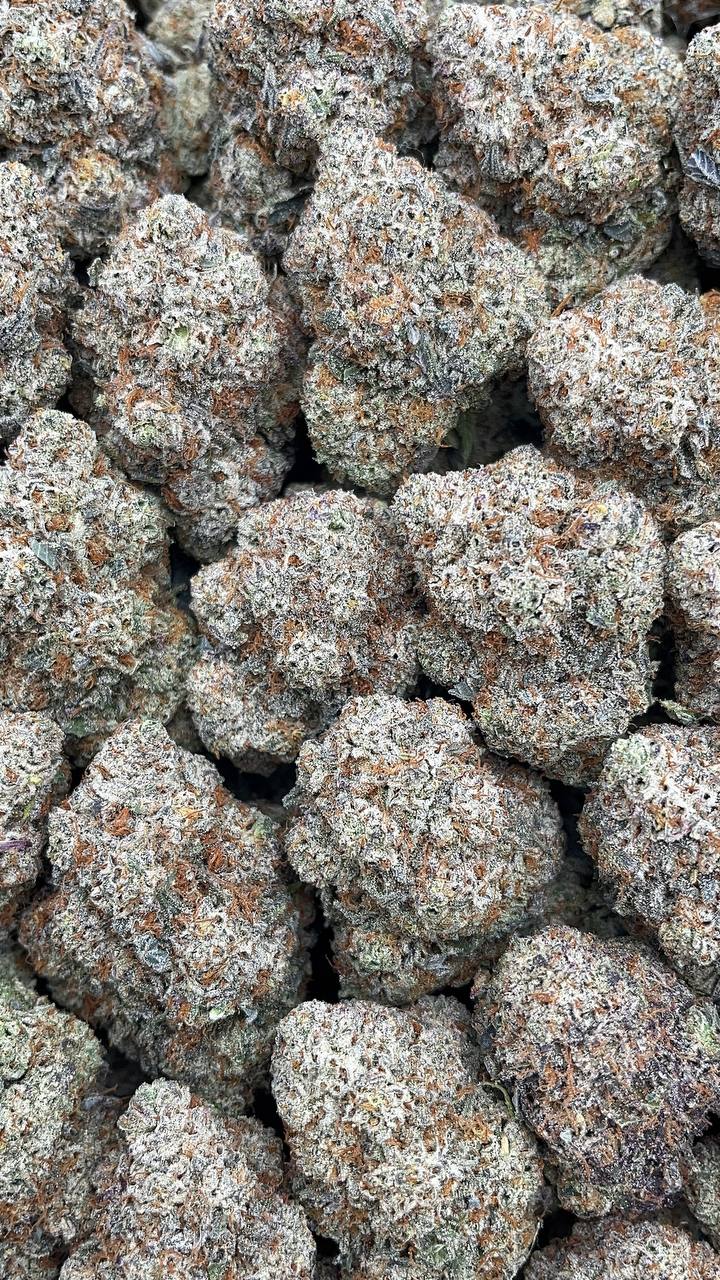 Oreo Thunder - PK525