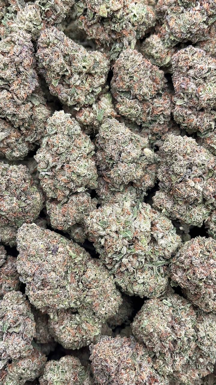 Birthday Cake - PK522