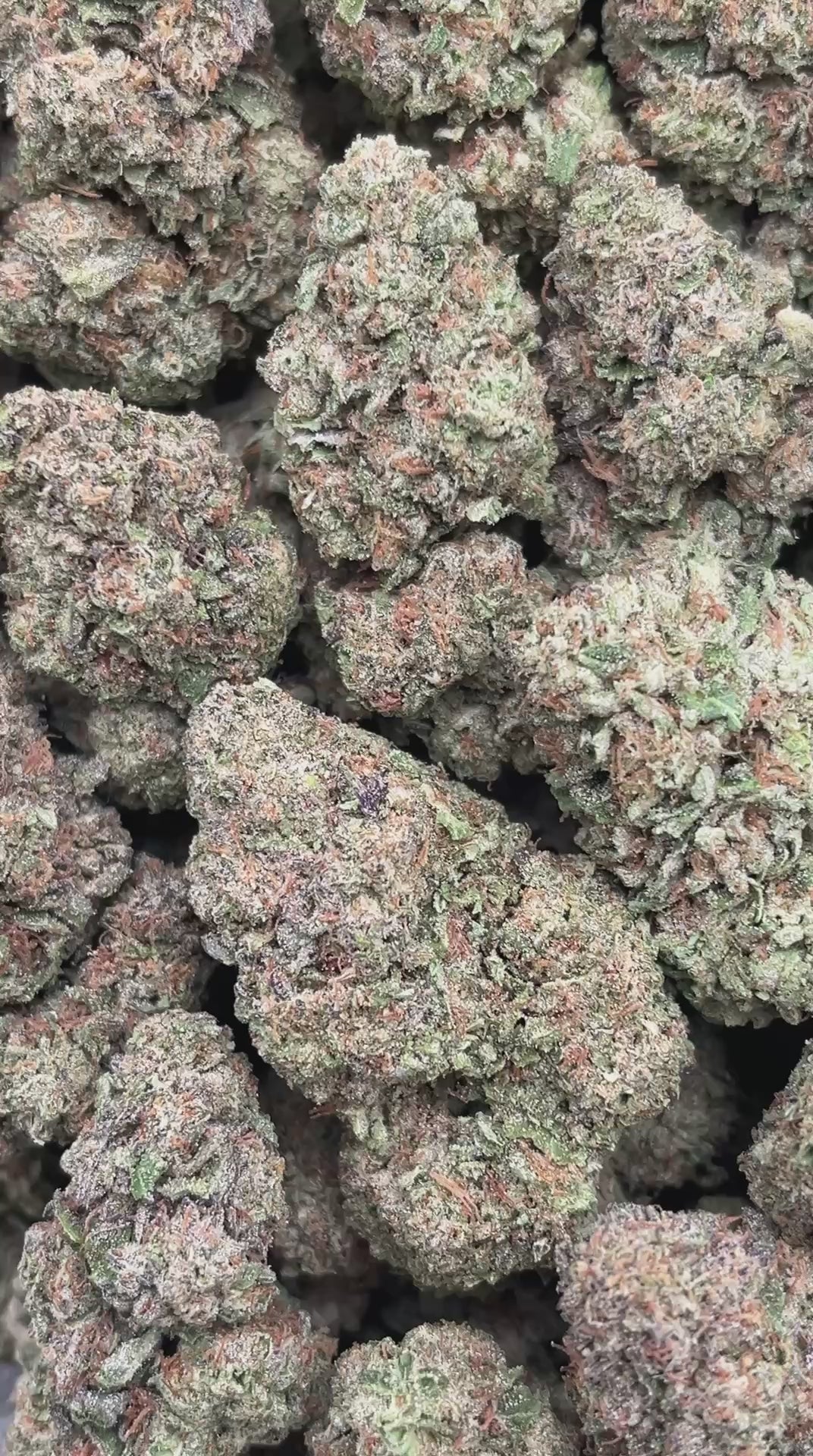 Birthday Cake - PK522