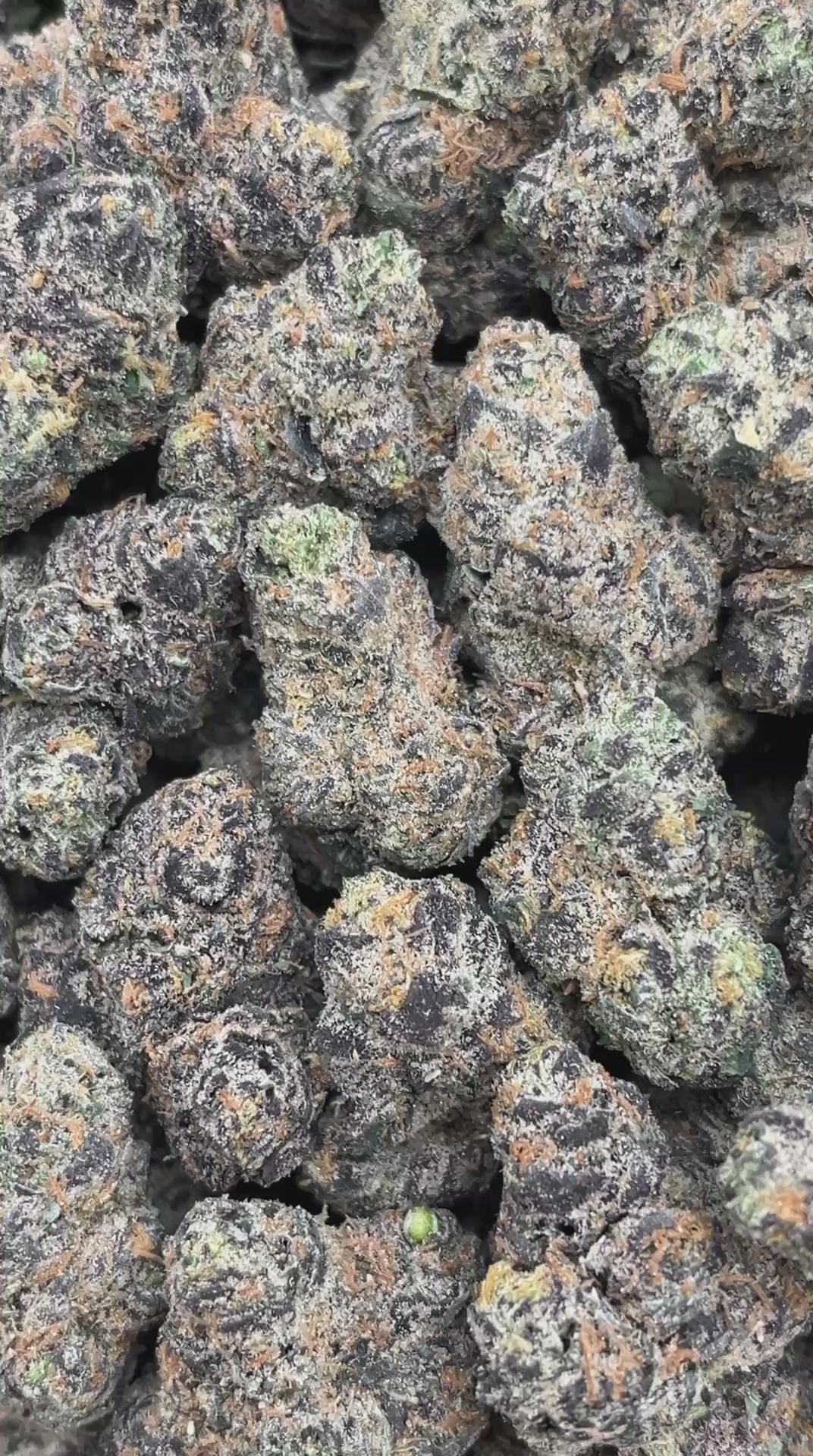 Cali Gas Mediums - PK604