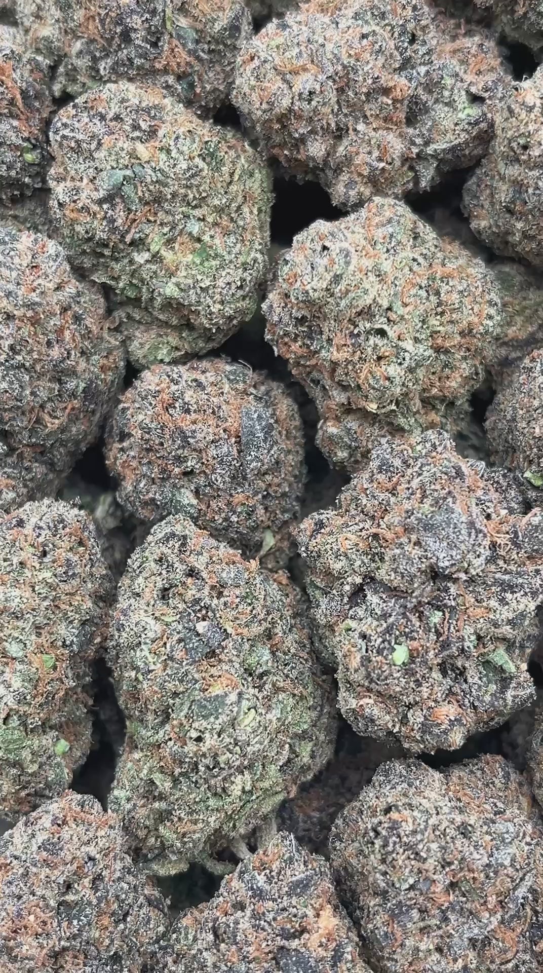 Diesel Dough - PK556