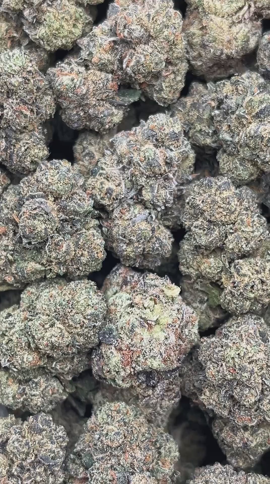 Dawgy Treats - PK596