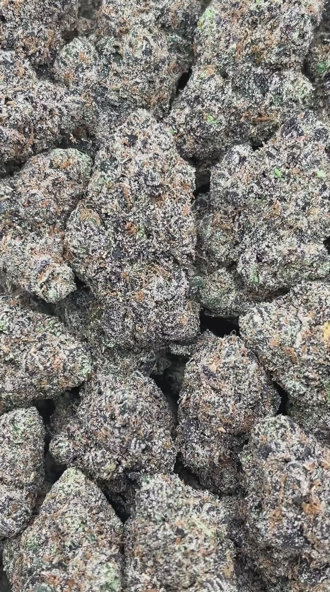Jet Fuel Gelato - PK603