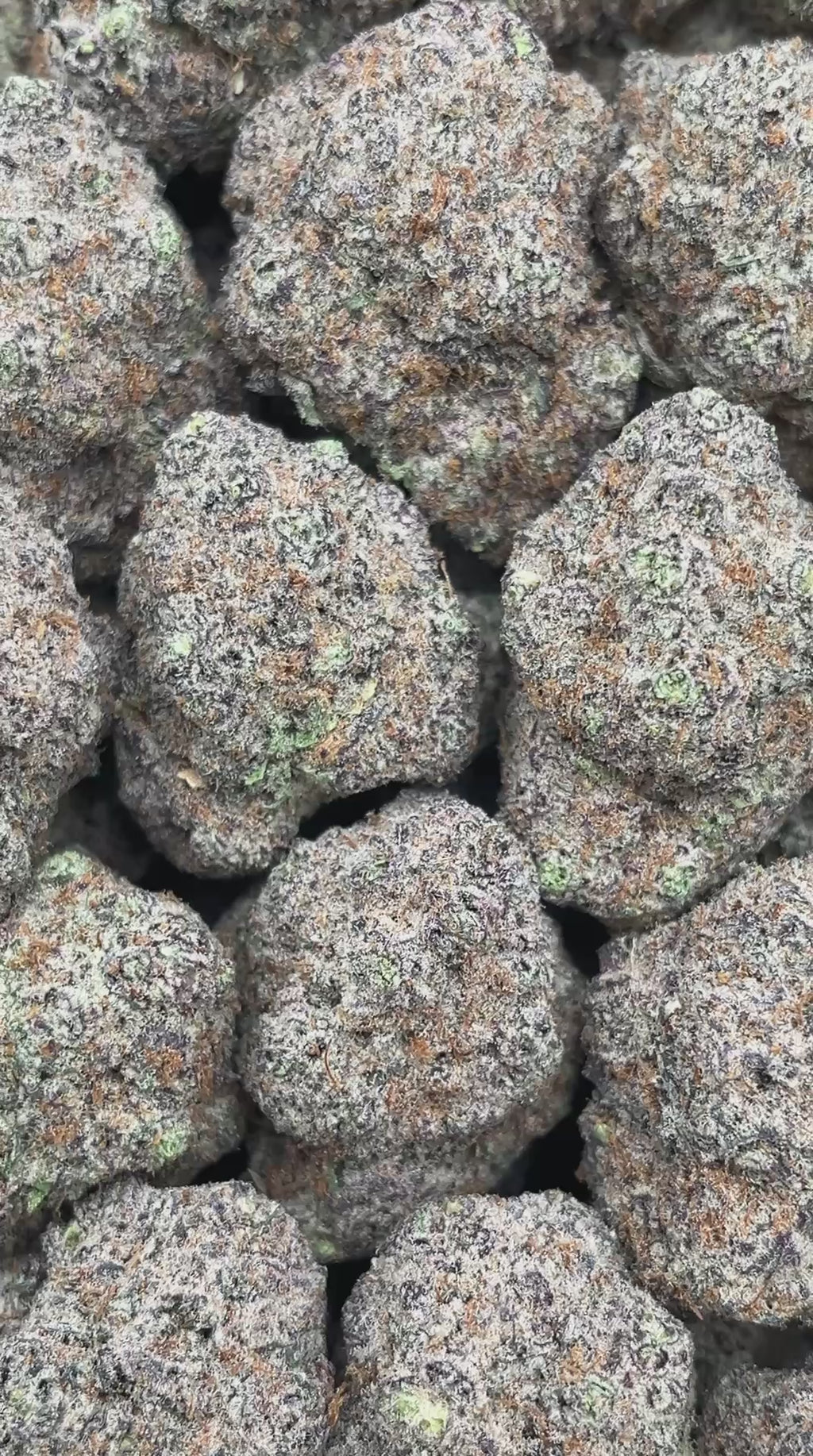 Blueberry Mojito - PK548