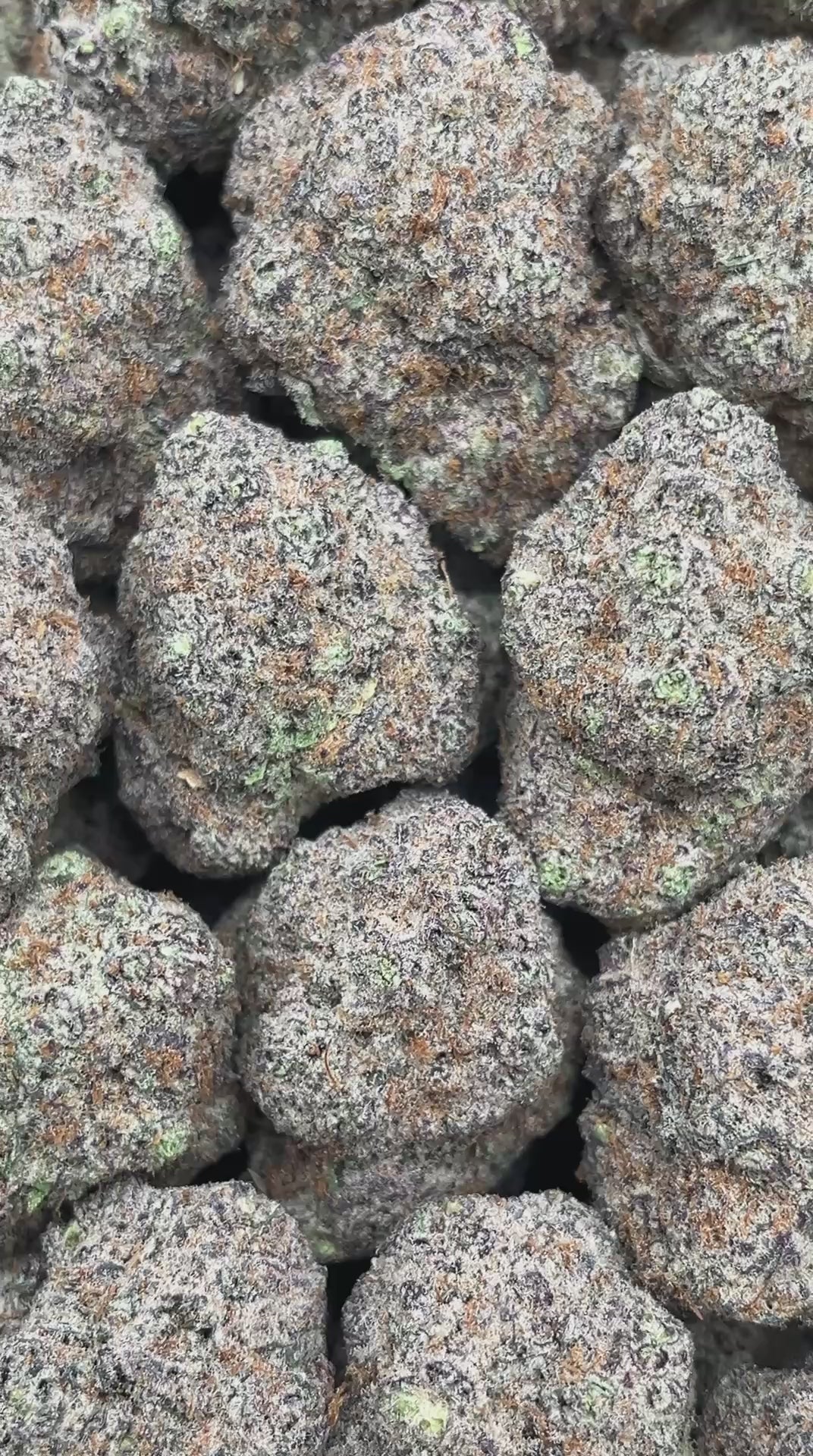 Blueberry Mojito - PK548
