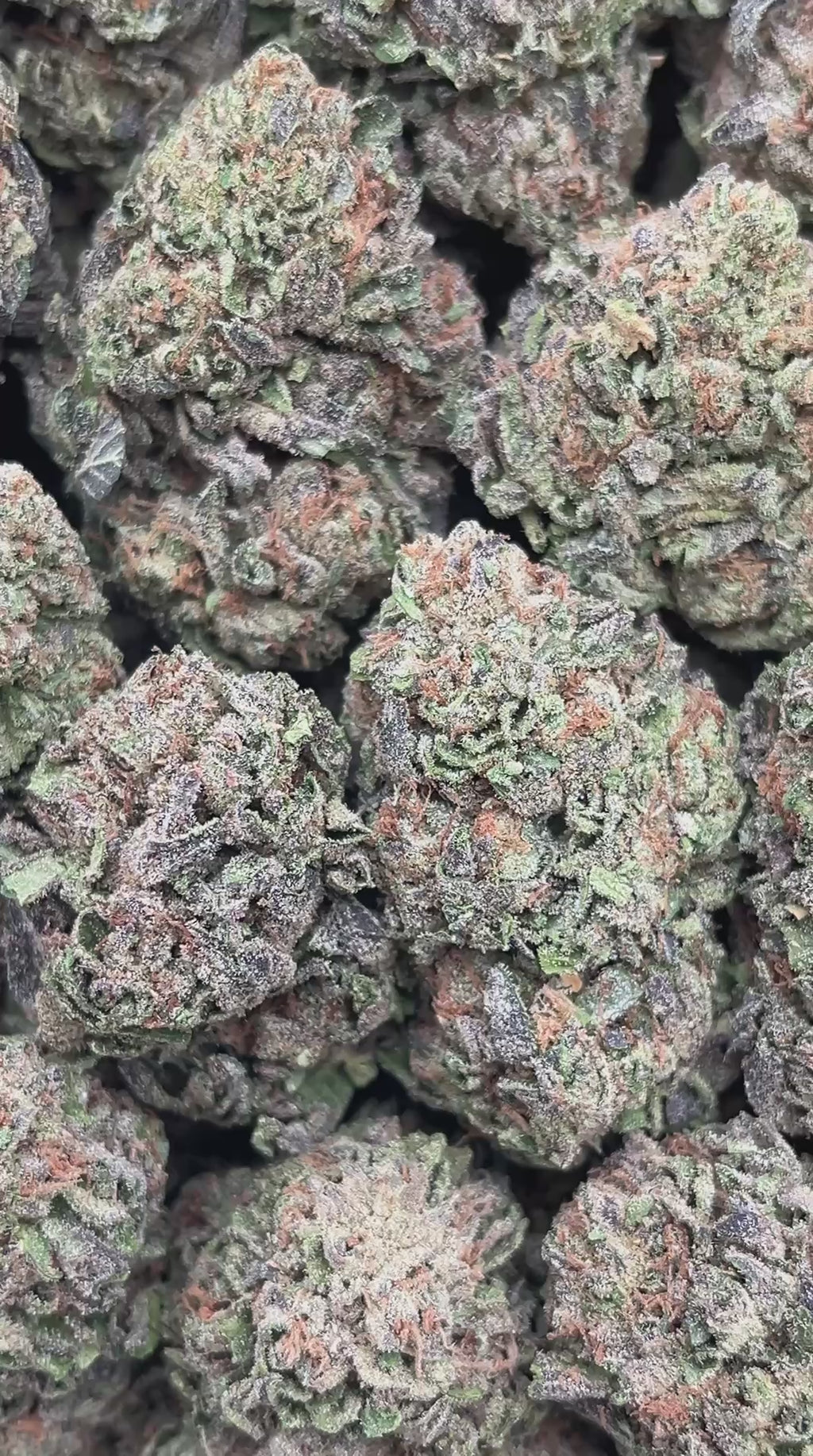 Candy Gas - PK520