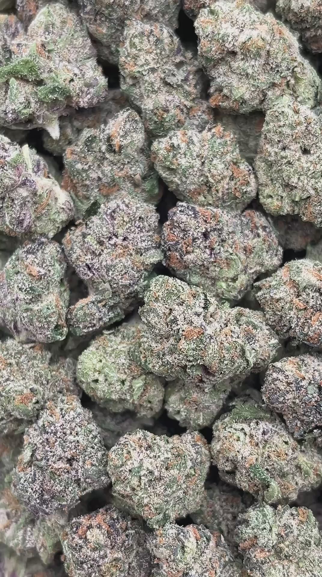 Cherry Zlushie Mediums - PK543 (Licensed)